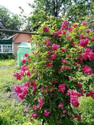 Продається ділянка Київ, Подільський фото 5 Продається ділянка Київ, Подільський фото 5