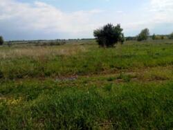 Продається ділянка Київська, Бородянський, Лубянка фото 3 Продається ділянка Київська, Бородянський, Лубянка фото 3