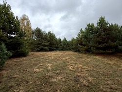 Продаж земельної ділянки 20 соток під забудову, с. Абрамівка, Вишгородський район, Київська область, без комісії фото 18 Продаж земельної ділянки 20 соток під забудову, с. Абрамівка, Вишгородський район, Київська область, без комісії фото 18
