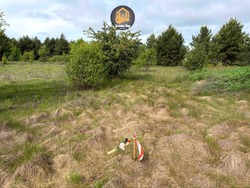 Продам земельну ділянку в селі Северинівка — лише 22 км від Києва фото 11 Продам земельну ділянку в селі Северинівка — лише 22 км від Києва фото 11