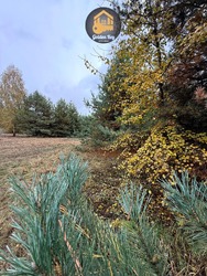Продаж земельної ділянки 20 соток під забудову, с. Абрамівка, Вишгородський район, Київська область, без комісії фото 9 Продаж земельної ділянки 20 соток під забудову, с. Абрамівка, Вишгородський район, Київська область, без комісії фото 9