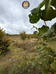 Продаж земельної ділянки 140 соток (1,4 га) ОСГ, с. Рови, Броварський район, Київська область, без комісії фото 3 Продаж земельної ділянки 140 соток (1,4 га) ОСГ, с. Рови, Броварський район, Київська область, без комісії фото 3