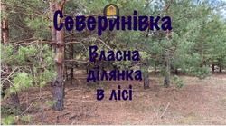 Продам земельну ділянку в селі Северинівка — лише 22 км від Києва фото 3 Продам земельну ділянку в селі Северинівка — лише 22 км від Києва фото 3