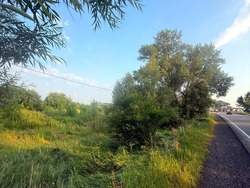 ������ ������� �������� ������ 78 ����� �� ������ �� �������� ��������� ���� 31
