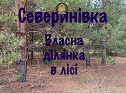 Продам земельну ділянку в селі Северинівка — лише 22 км від Києва фото 16 Продам земельну ділянку в селі Северинівка — лише 22 км від Києва фото 16