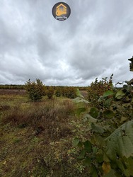 Продаж земельної ділянки 140 соток (1,4 га) ОСГ, с. Рови, Броварський район, Київська область, без комісії фото 4 Продаж земельної ділянки 140 соток (1,4 га) ОСГ, с. Рови, Броварський район, Київська область, без комісії фото 4