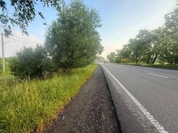 Продаж фасадної земельної ділянки під АЗС / об'єкт дорожнього сервісу фото 30 Продаж фасадної земельної ділянки під АЗС / об'єкт дорожнього сервісу фото 30