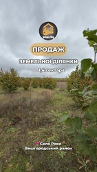 Продаж земельної ділянки 140 соток (1,4 га) ОСГ, с. Рови, Броварський район, Київська область, без комісії фото 13 Продаж земельної ділянки 140 соток (1,4 га) ОСГ, с. Рови, Броварський район, Київська область, без комісії фото 13