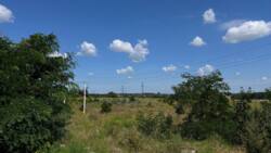 Продаж/Земля/Одеська траса/Логістичне будівництво/Склад фото 2 Продаж/Земля/Одеська траса/Логістичне будівництво/Склад фото 2