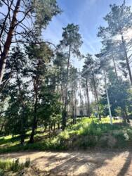 Ділянка у с.Ходосівка у сосновому лісі поруч з річкою, БЕЗ%! фото 6 Ділянка у с.Ходосівка у сосновому лісі поруч з річкою, БЕЗ%! фото 6