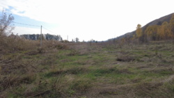 Продам земельну ділянку в с. Ходосівка 30 соток біля ТРЦ «Мануфактура» фото 7 Продам земельну ділянку в с. Ходосівка 30 соток біля ТРЦ «Мануфактура» фото 7