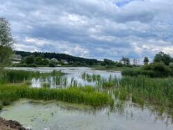 Продам видову ділянку під забудову в закритому котеджному містечку Сіверська Венеція фото 11 Продам видову ділянку під забудову в закритому котеджному містечку Сіверська Венеція фото 11