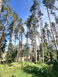 Продаж земельної ділянки с.Ходосівка від 6-18 соток на вибір! фото 7 Продаж земельної ділянки с.Ходосівка від 6-18 соток на вибір! фото 7