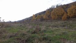 Продам ділянку 15 соток у с. Ходосівка біля ТРЦ «Мануфактура». фото 7 Продам ділянку 15 соток у с. Ходосівка біля ТРЦ «Мануфактура». фото 7