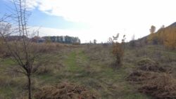 Продам ділянку 15 соток у с. Ходосівка біля ТРЦ «Мануфактура». фото 1 Продам ділянку 15 соток у с. Ходосівка біля ТРЦ «Мануфактура». фото 1