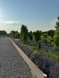  /  / 7,5  /  /  /     3