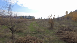 Продам земельну ділянку в с. Ходосівка 30 соток біля ТРЦ «Мануфактура» фото 2 Продам земельну ділянку в с. Ходосівка 30 соток біля ТРЦ «Мануфактура» фото 2