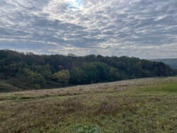 Продається ділянка Київська, Обухівський, Мала Вільшанка фото 1 Продається ділянка Київська, Обухівський, Мала Вільшанка фото 1