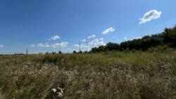 Продаж/Земля/Одеська траса/Логістичне будівництво/Склад фото 3 Продаж/Земля/Одеська траса/Логістичне будівництво/Склад фото 3