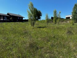 Продам земельну ділянку площею 12 соток у селі Лісники фото 2 Продам земельну ділянку площею 12 соток у селі Лісники фото 2