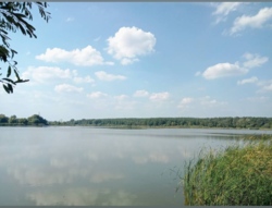 Продам земельну ділянку в селі Ходосіївка площею 50 соток фото 3 Продам земельну ділянку в селі Ходосіївка площею 50 соток фото 3