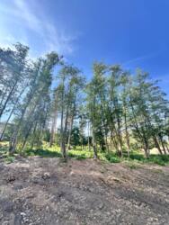 Продаж земельної ділянки с.Ходосівка від 6-18 соток на вибір! фото 3 Продаж земельної ділянки с.Ходосівка від 6-18 соток на вибір! фото 3