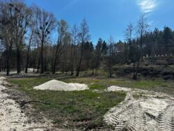  /  / 7,5  /  /  /     1