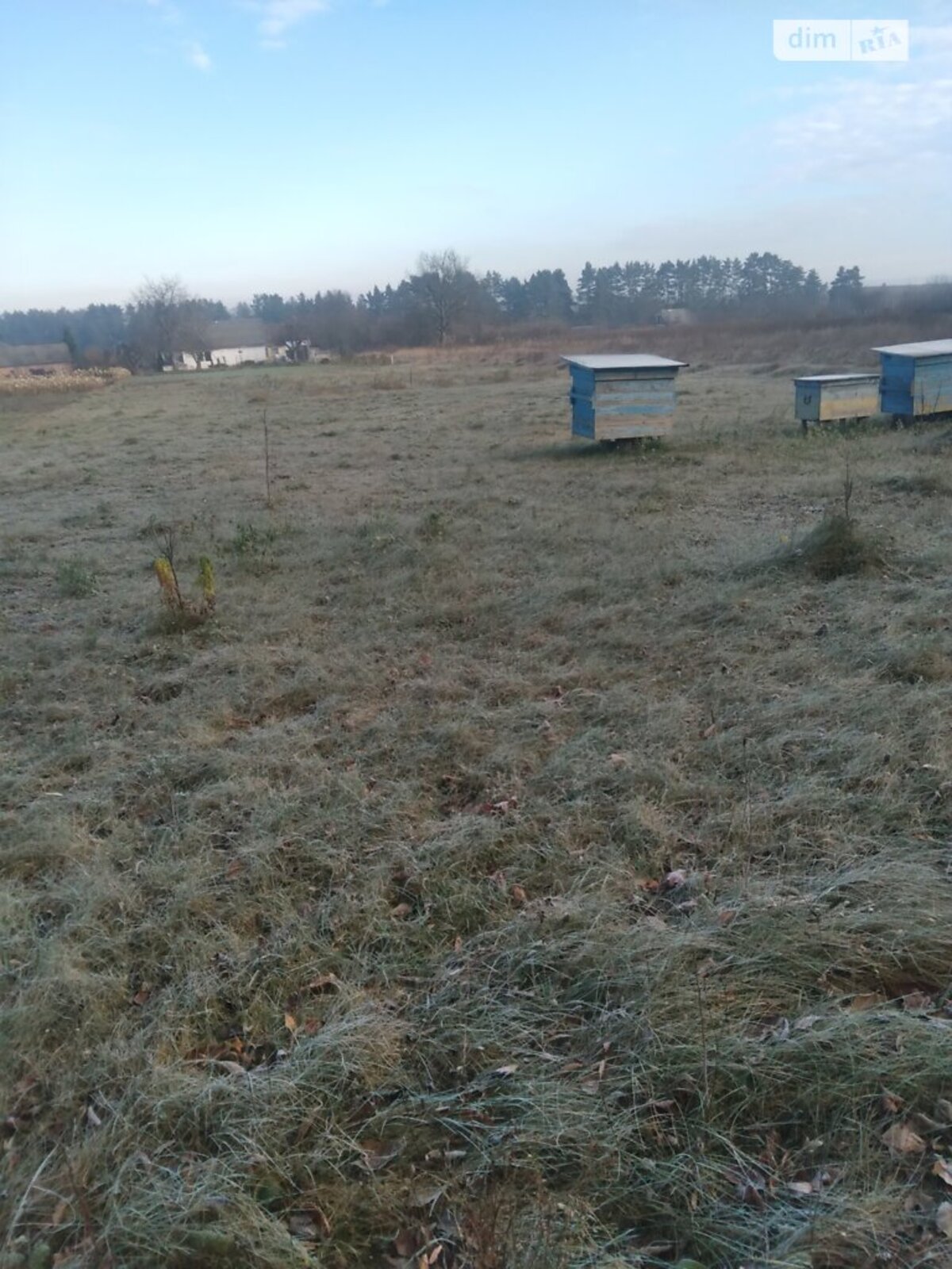 ��������� ������ ³�������, ³�����, ���������, ��������� ���� 1