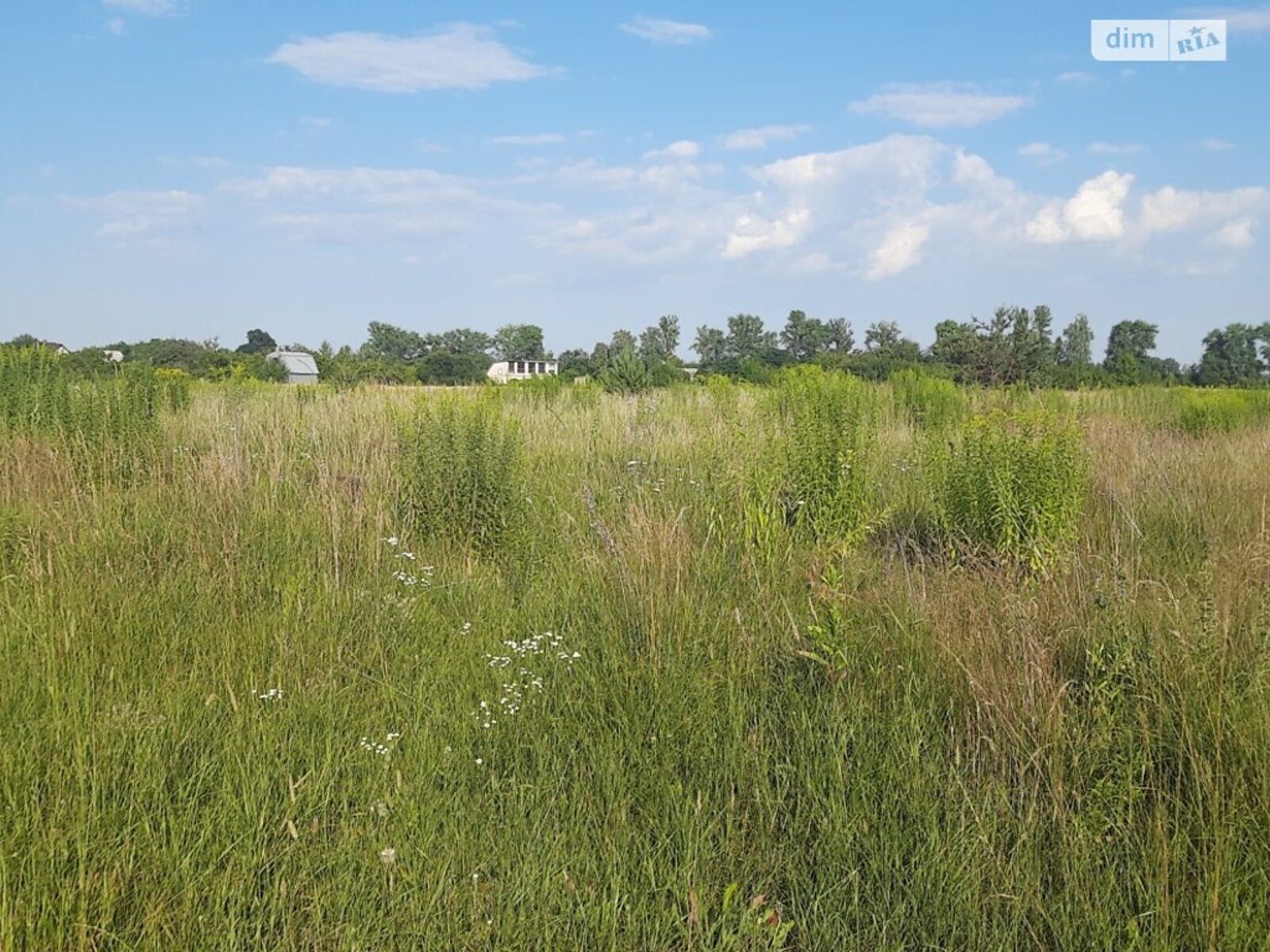 ��������� ������ ³�������, ³�����, ��������� ���� 1