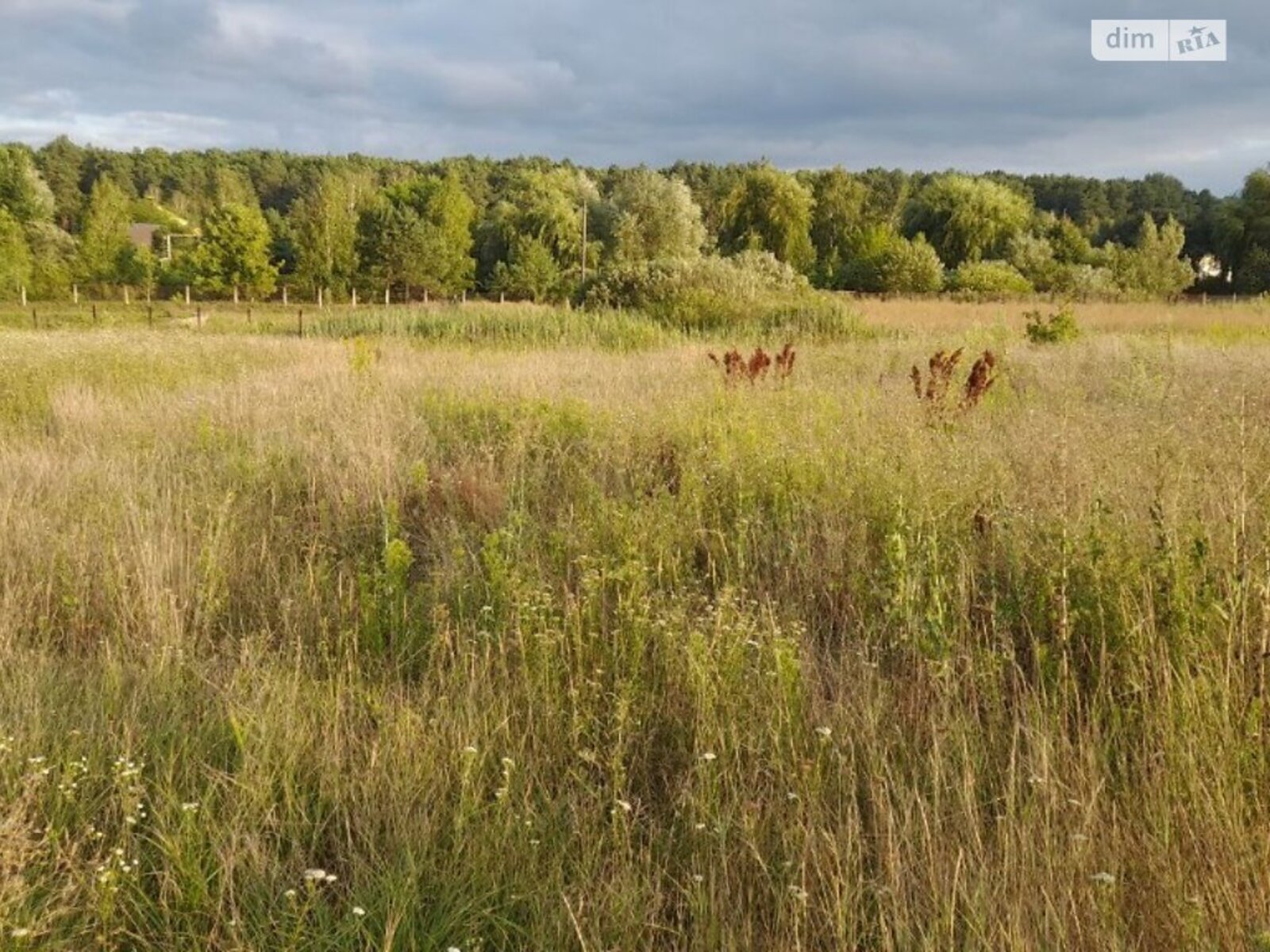 ��������� ������ ³�������, ³�����, ��������� ���� 1