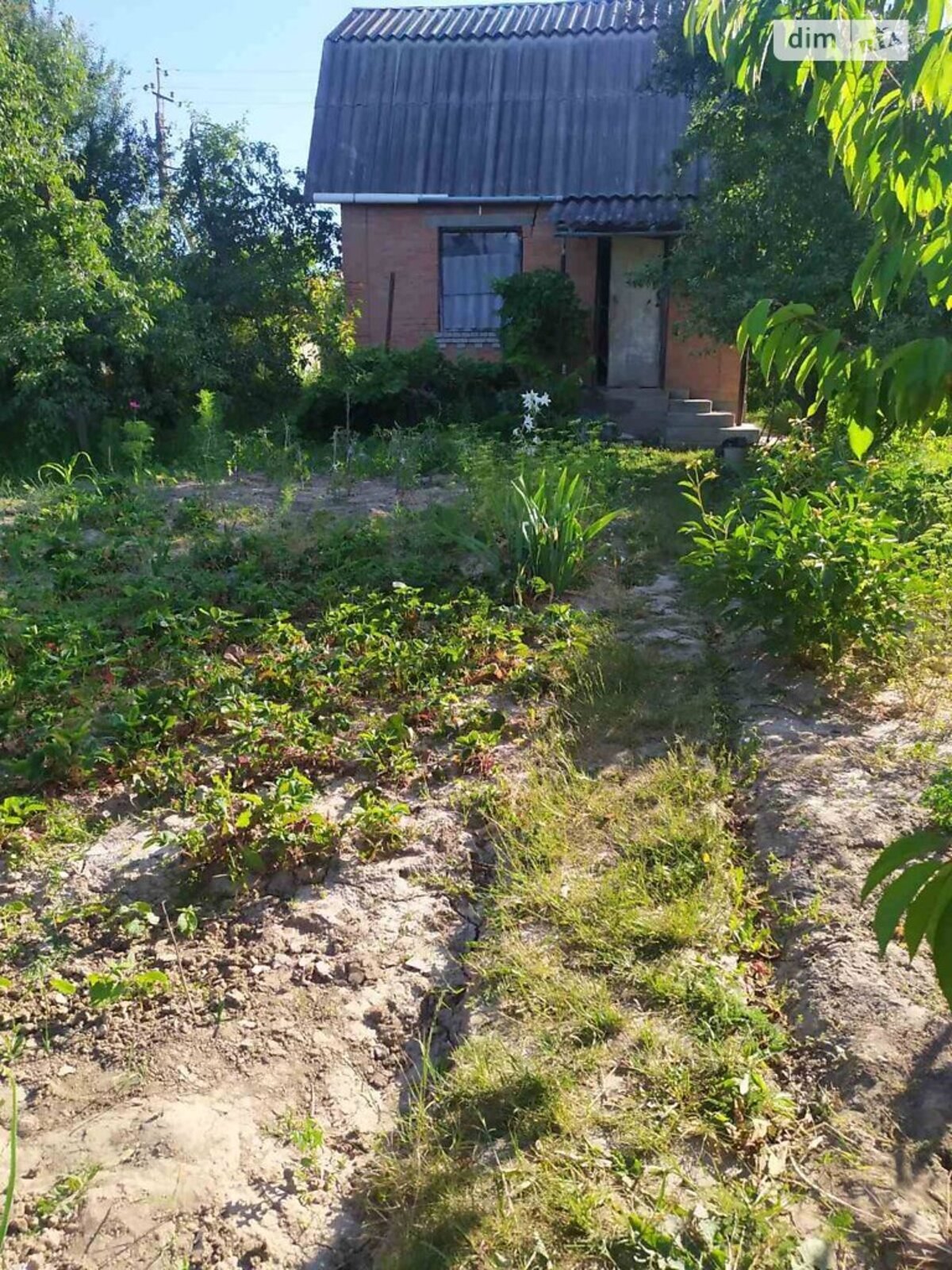 ��������� ������ ³�������, ³�����, ���������, ������ ���� 1