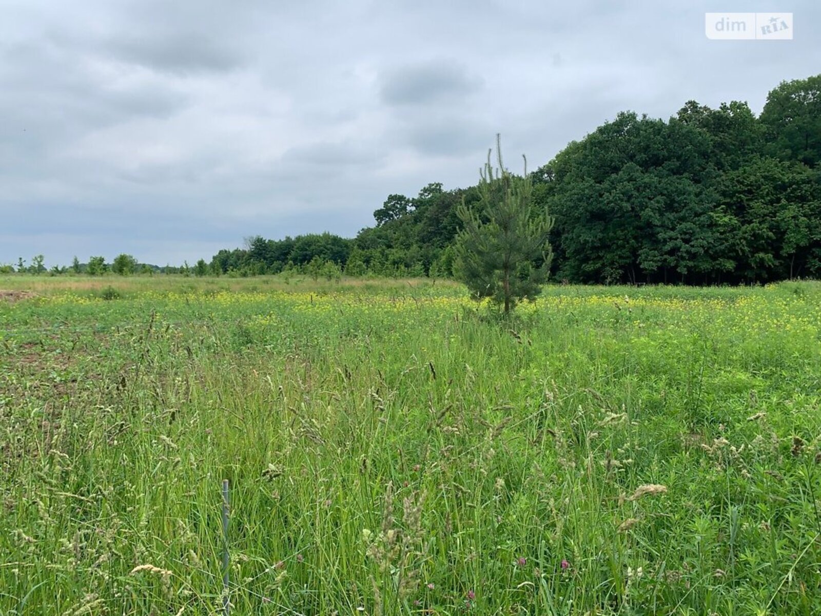 ��������� ������ ³�������, ³�����, ���������, �������� ���� 1