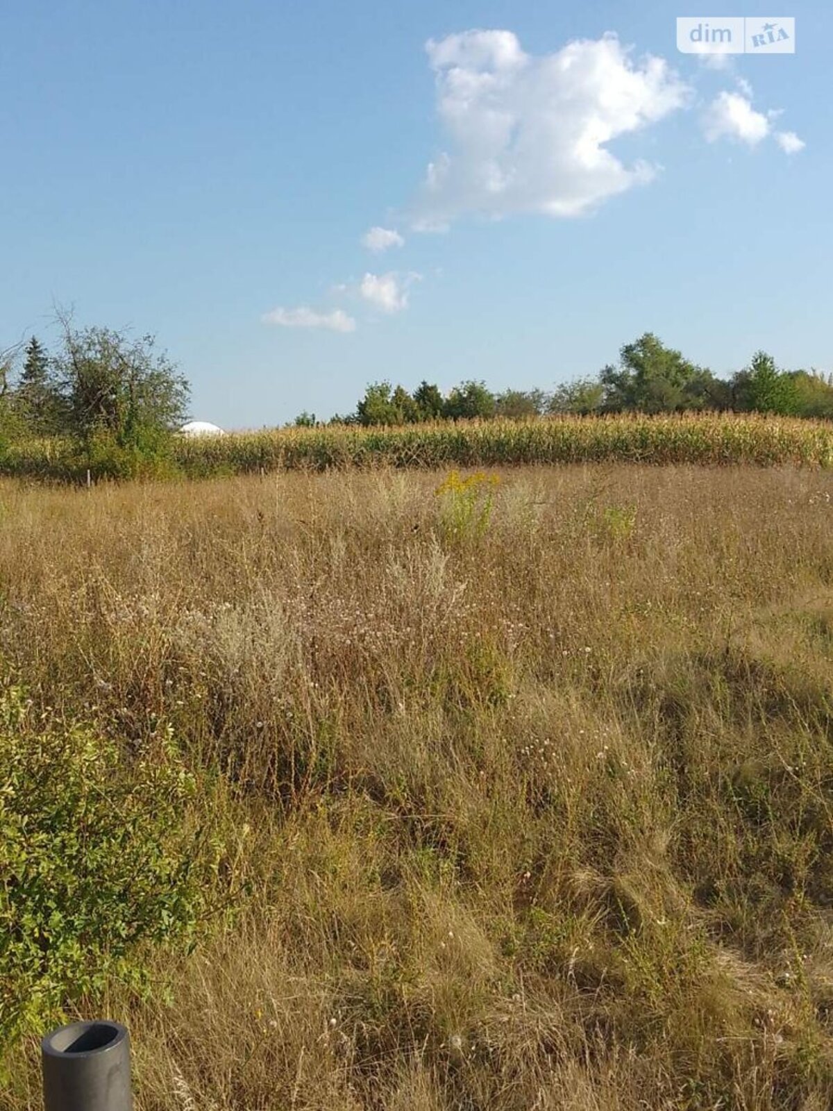 ��������� ������ ³�������, ³�����, ��������� ���� 1