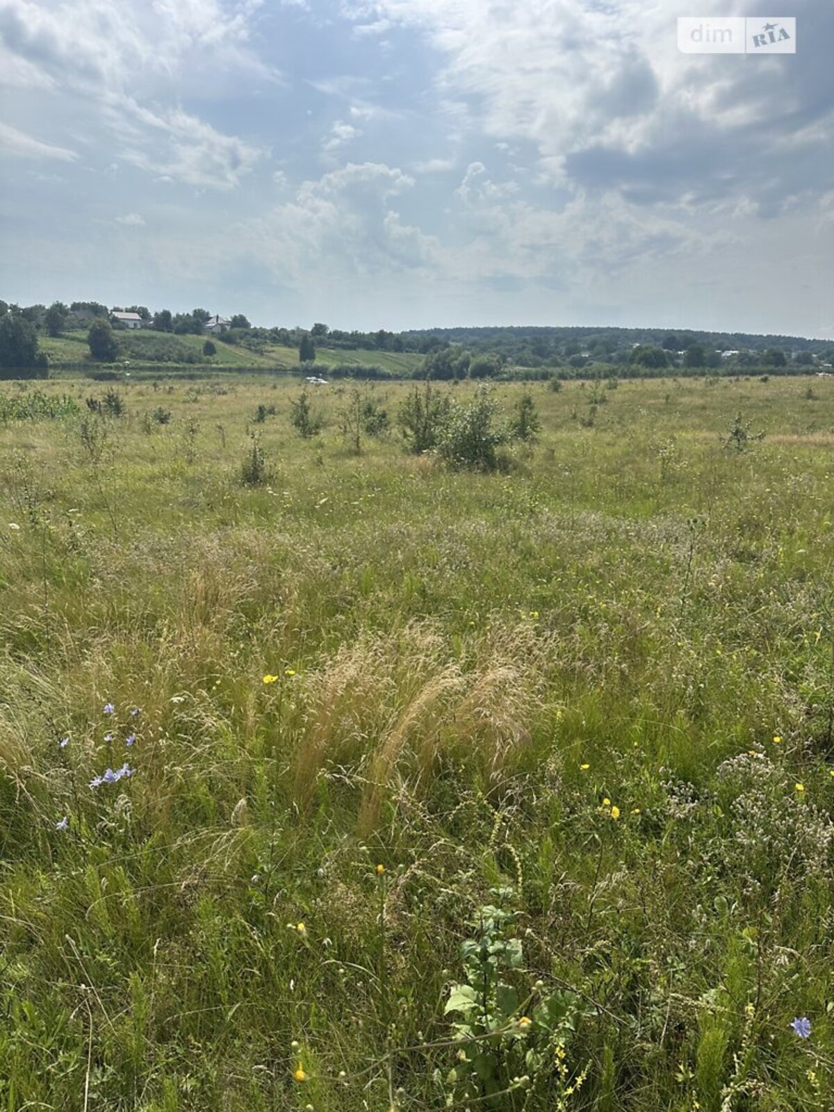 ��������� ������ ³�������, ³�����, ��������� ���� 1