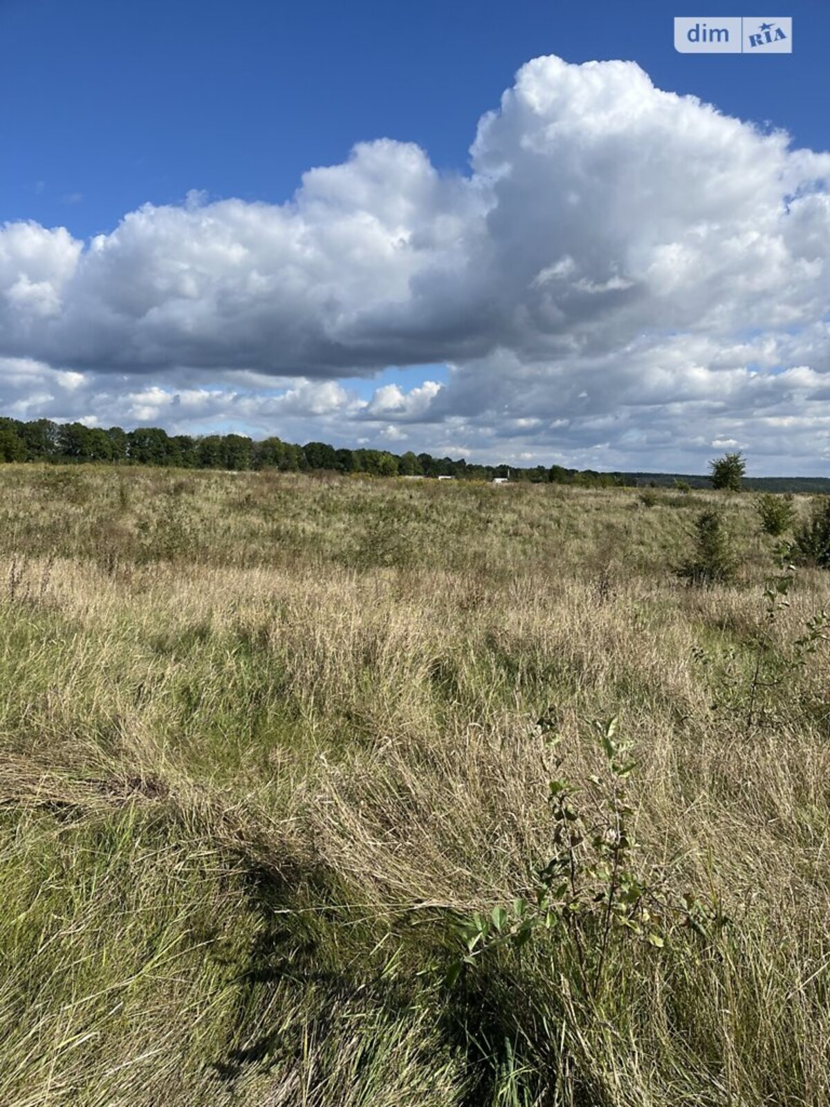 ��������� ������ ³�������, ³�����, ���������, �������� ���� 1