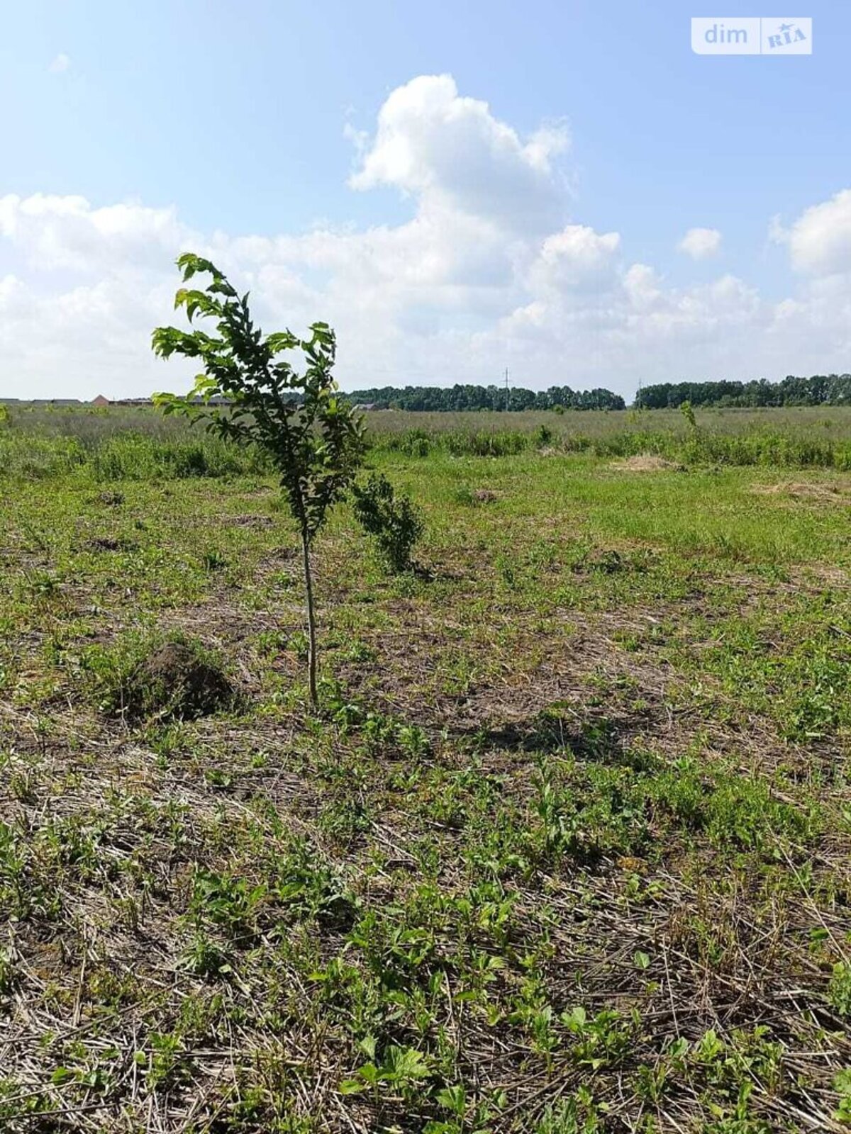 ��������� ������ ³�������, ³�����, ���������, ���������� ���� 1