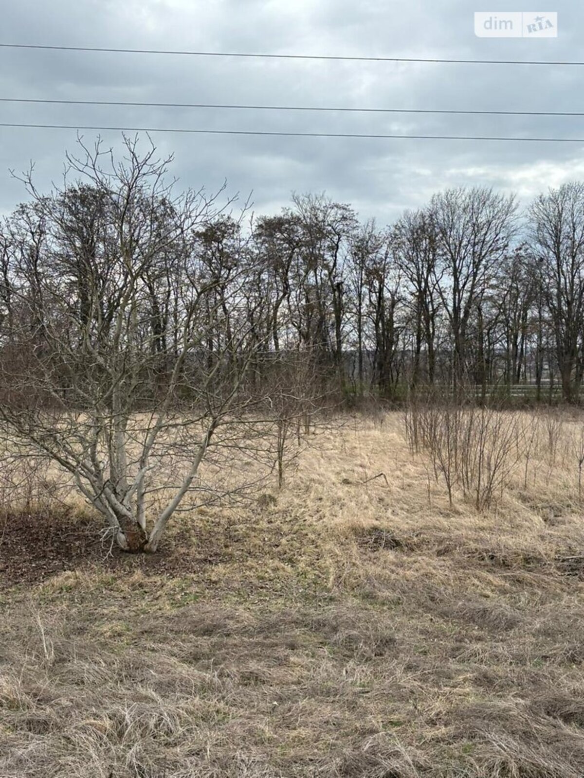 ��������� ������ ³�������, ³�����, ���������, ³������ ������ ���� 1