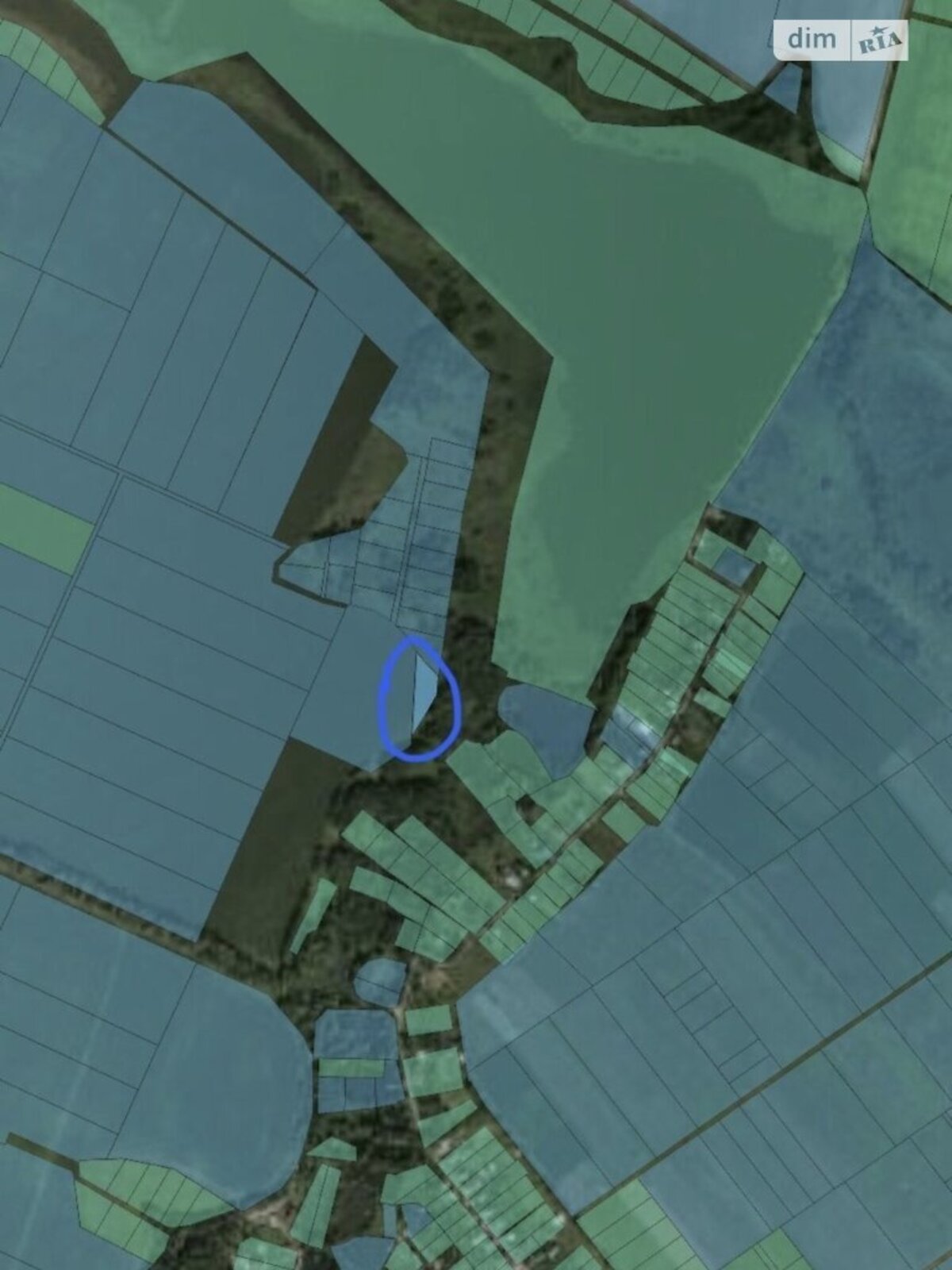 ��������� ������ ³�������, ³�����, ���������, �������� ���� 1