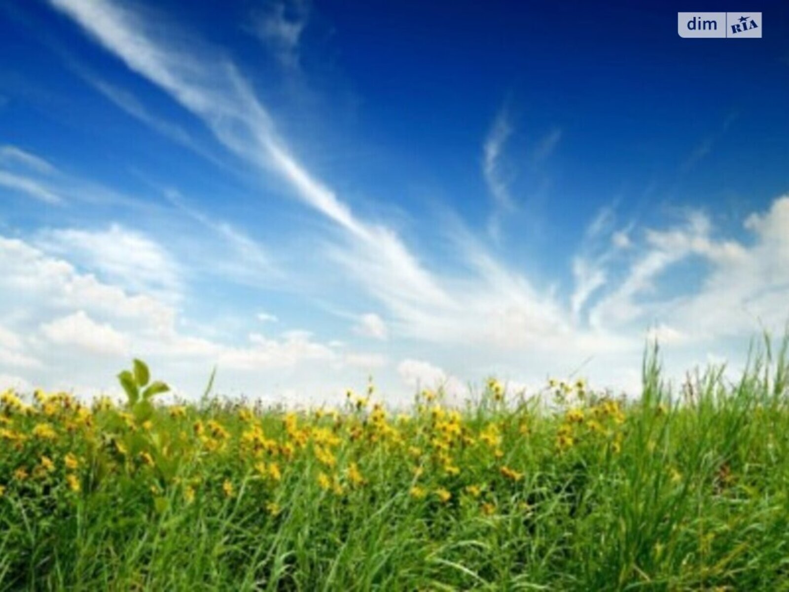 ��������� ������ ³�������, ³�����, ����������, ������ ���� 1