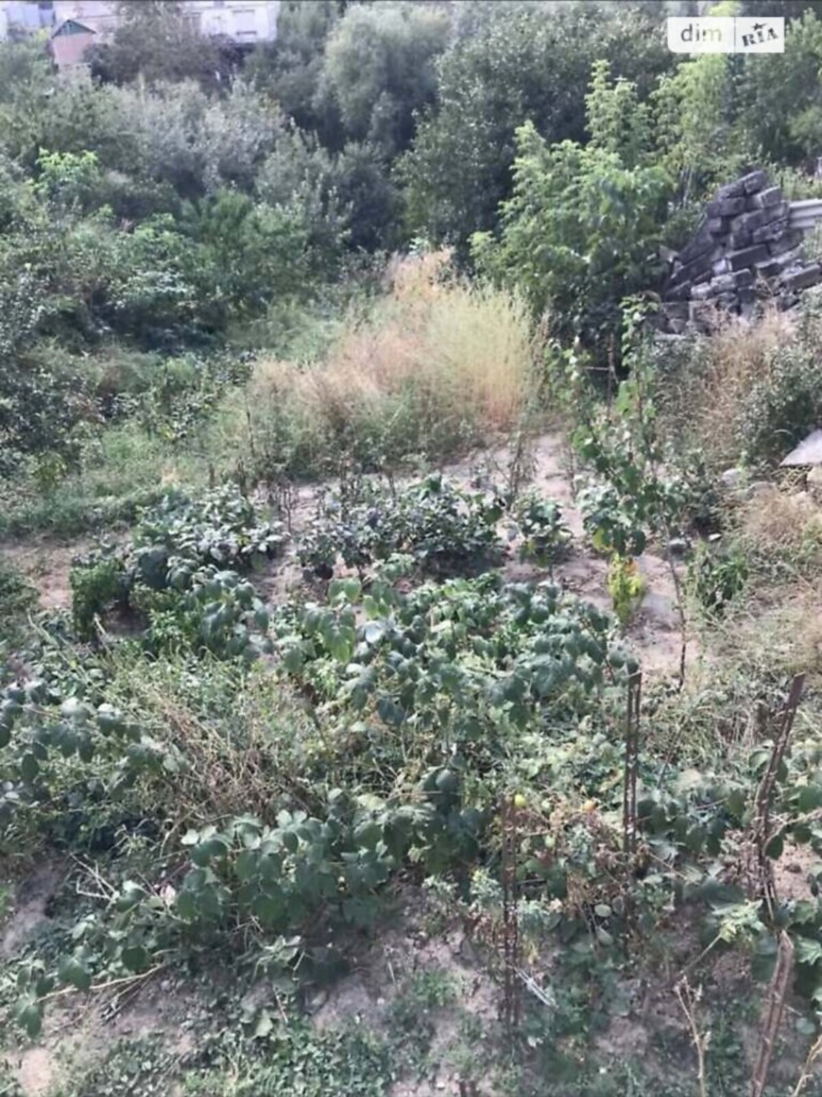 ��������� ������ ³�������, ³�����, �����������, ����� ����, ������������ ���� 1