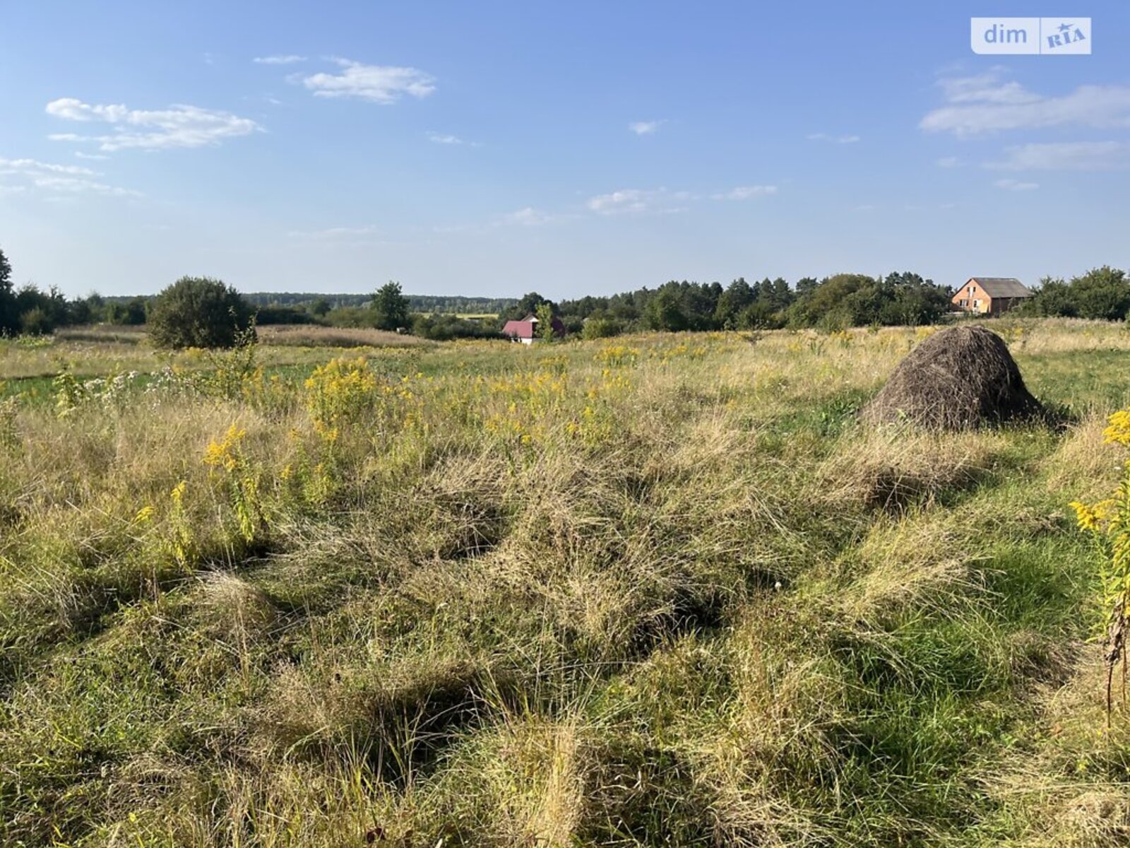 ��������� ������ ³�������, ³�����, ���������, ��������� ���� 1