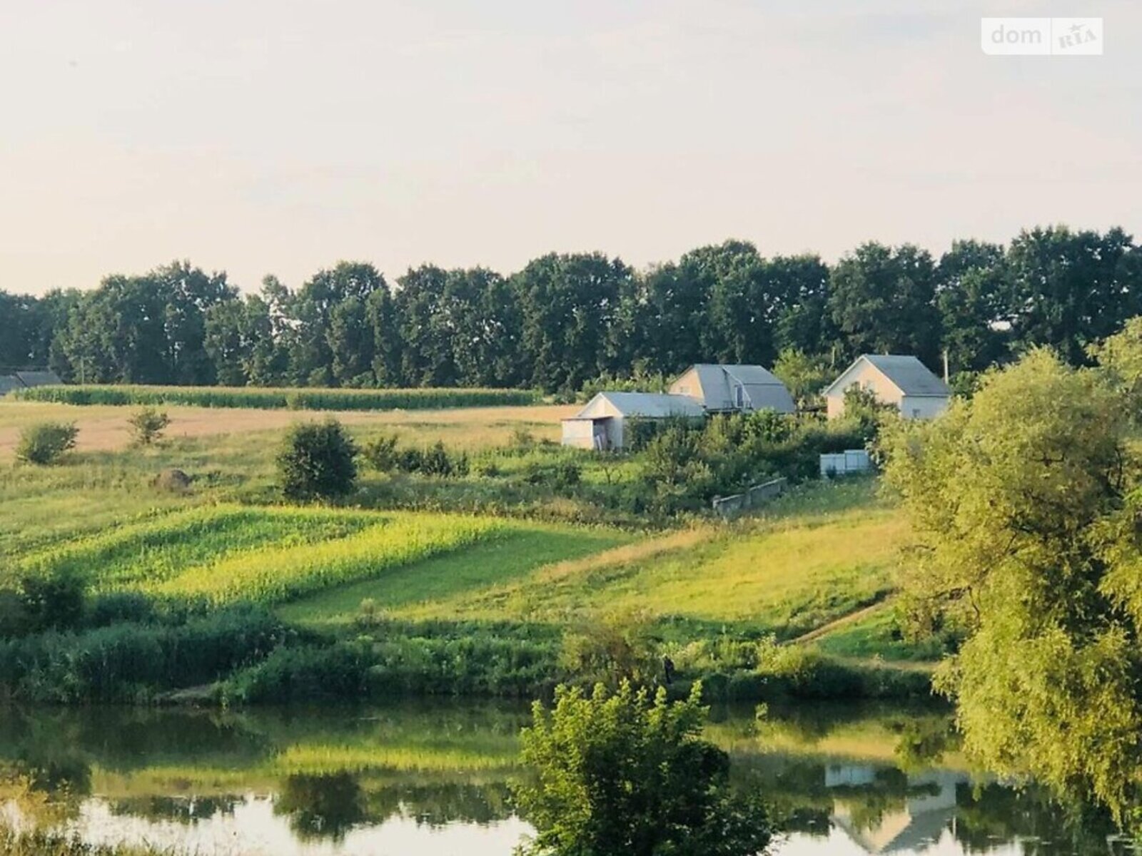 ��������� ������ ³�������, ³�����, ���������, ��������, ������ ���� ���� 1