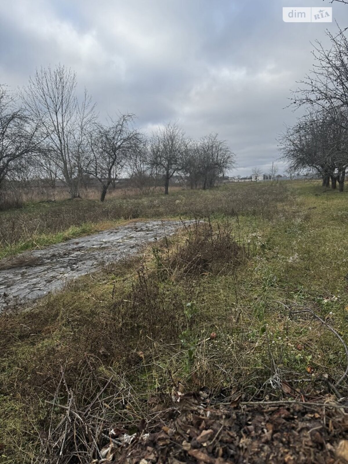 ��������� ������ ³�������, ³�����, ���������, ����-�����������, �����. ��� ������� ���� 1