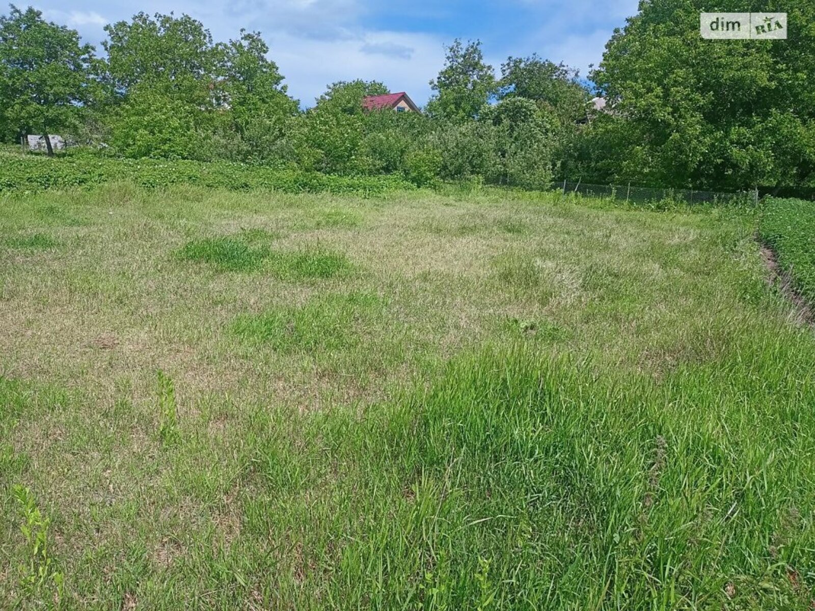 ��������� ������ ³�������, ³�����, ���������, ����-����������� ���� 1