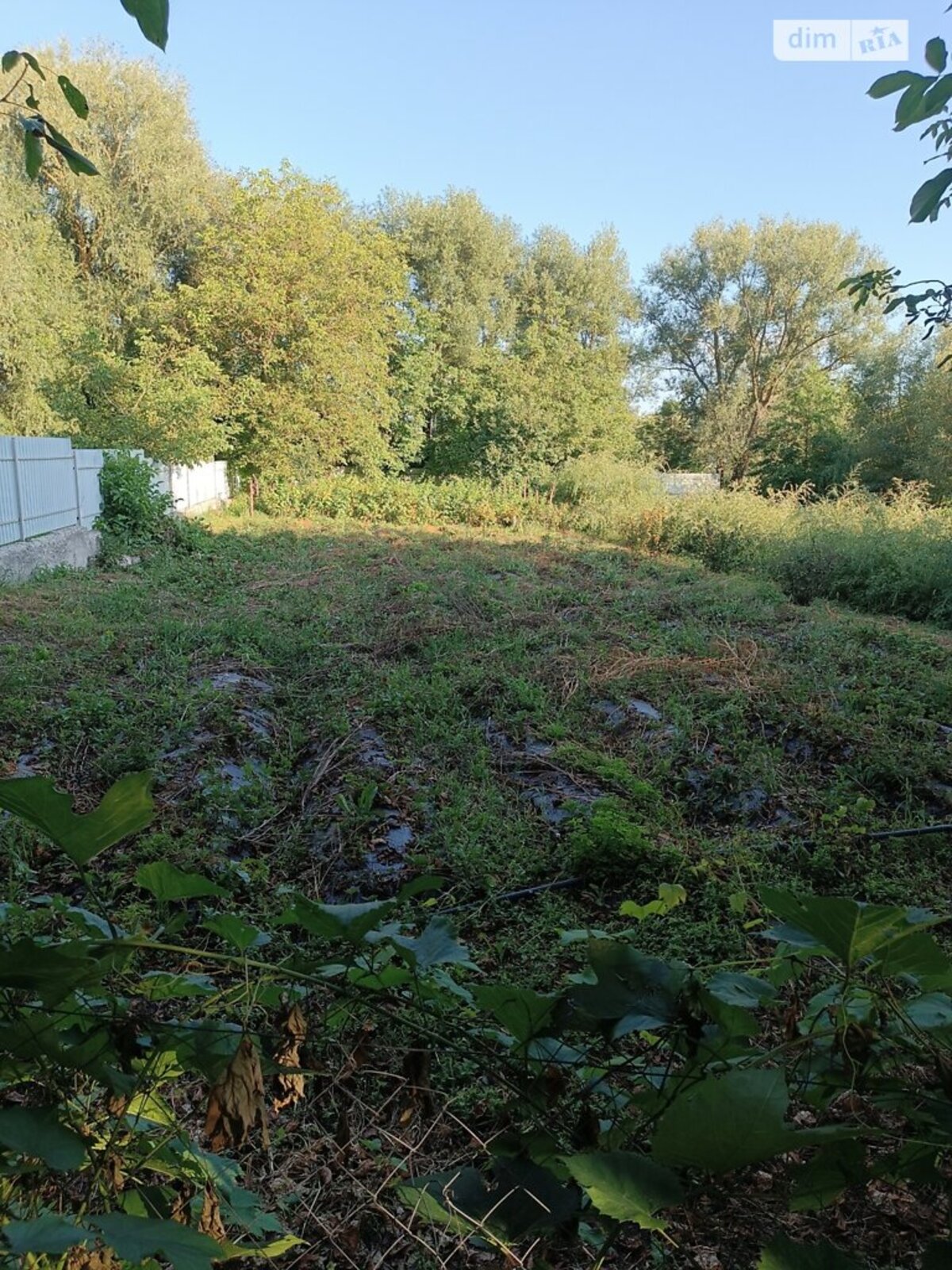 ��������� ������ ³�������, ³�����, ���������, ����-����������� ���� 1