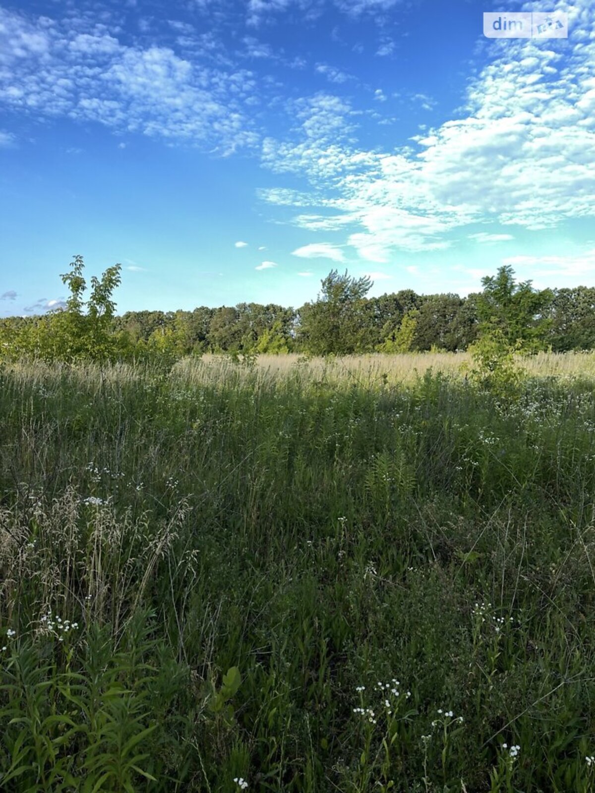 ��������� ������ ³�������, ³�����, �������������, ³�����-�������� ���� 1