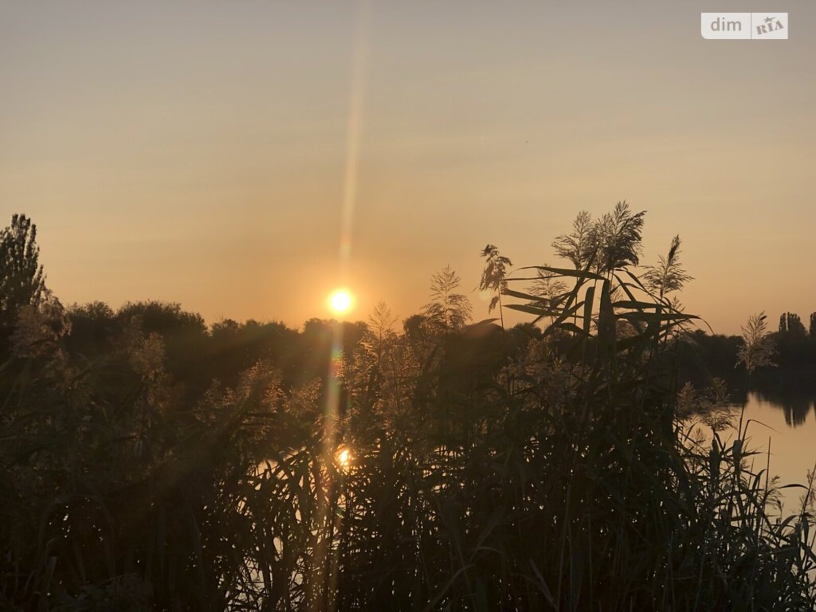 ��������� ������ ³�������, ³�����, ���������, ��������� (��������), ������� �������� ���� 1