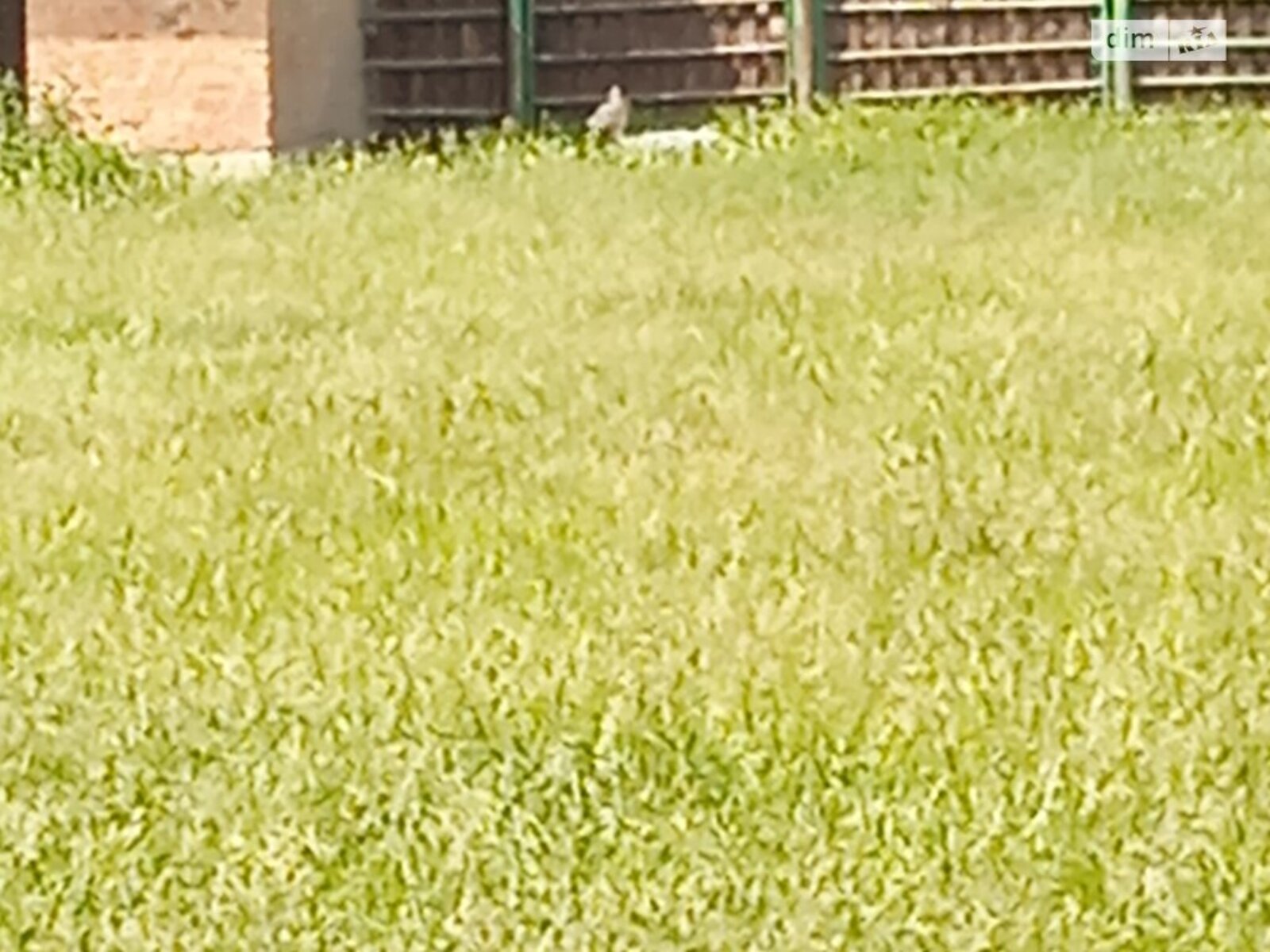 ��������� ������ ³�������, ³�����, ���������, ������ ���� 1