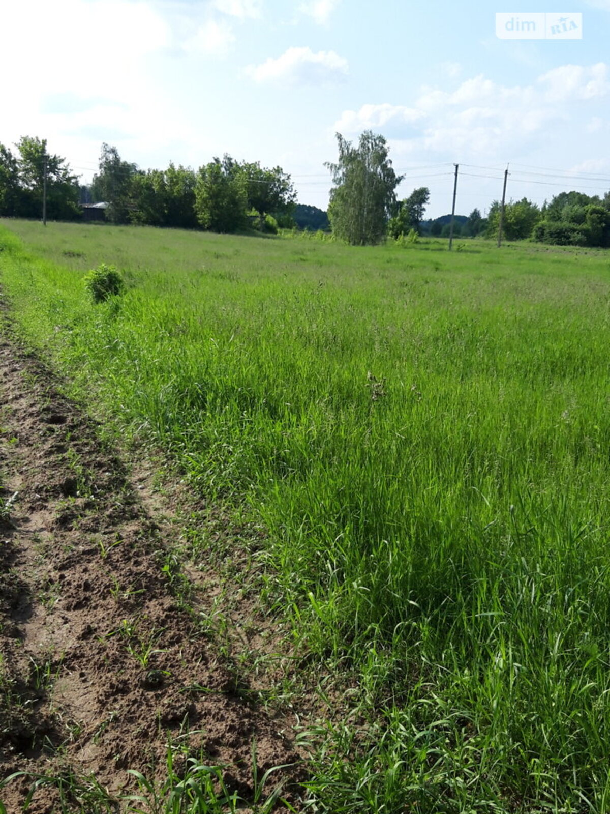 ��������� ������ ³�������, ³�����, ��������� ���� 1