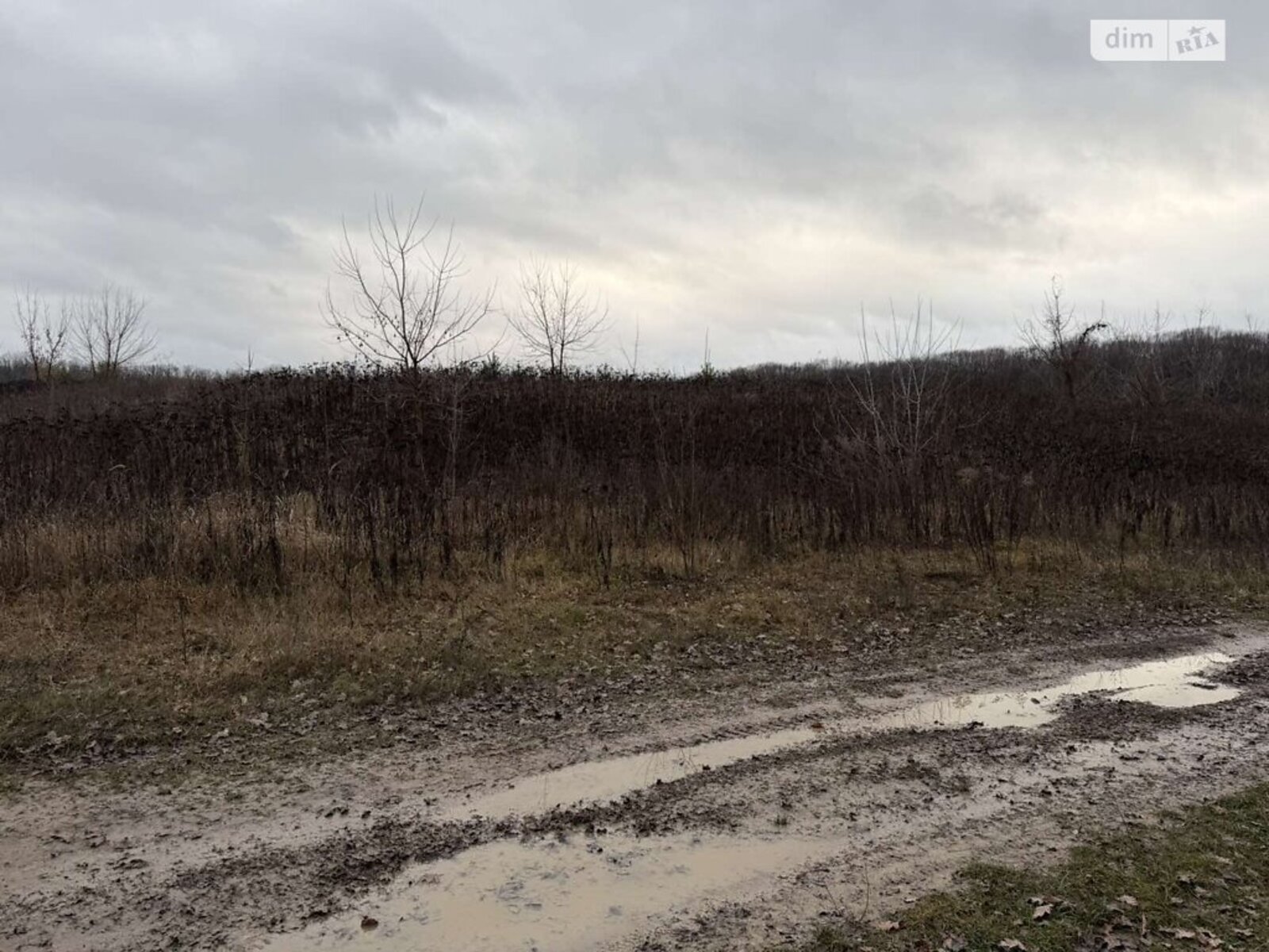 ��������� ������ ³�������, ³�����, �����������, ����� ����, ��������� ������ ���� 1